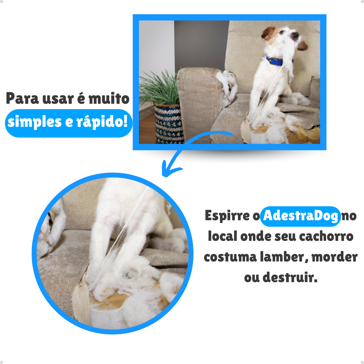 AdestraDog Petliz 120ml - Imagem 4