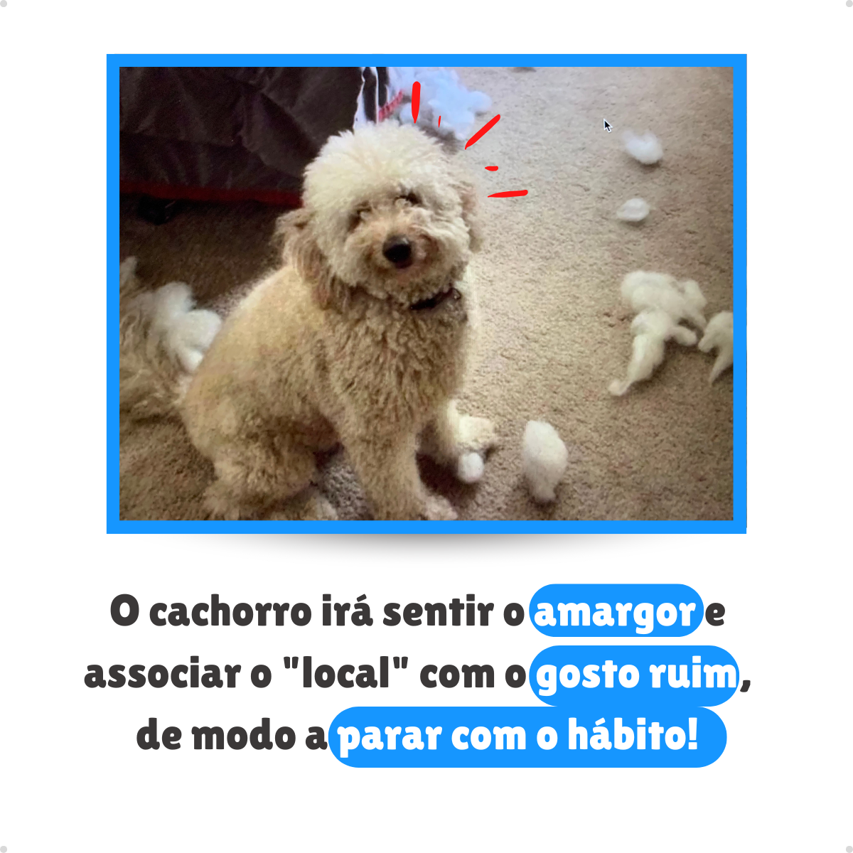 AdestraDog Petliz 120ml - Imagem 5