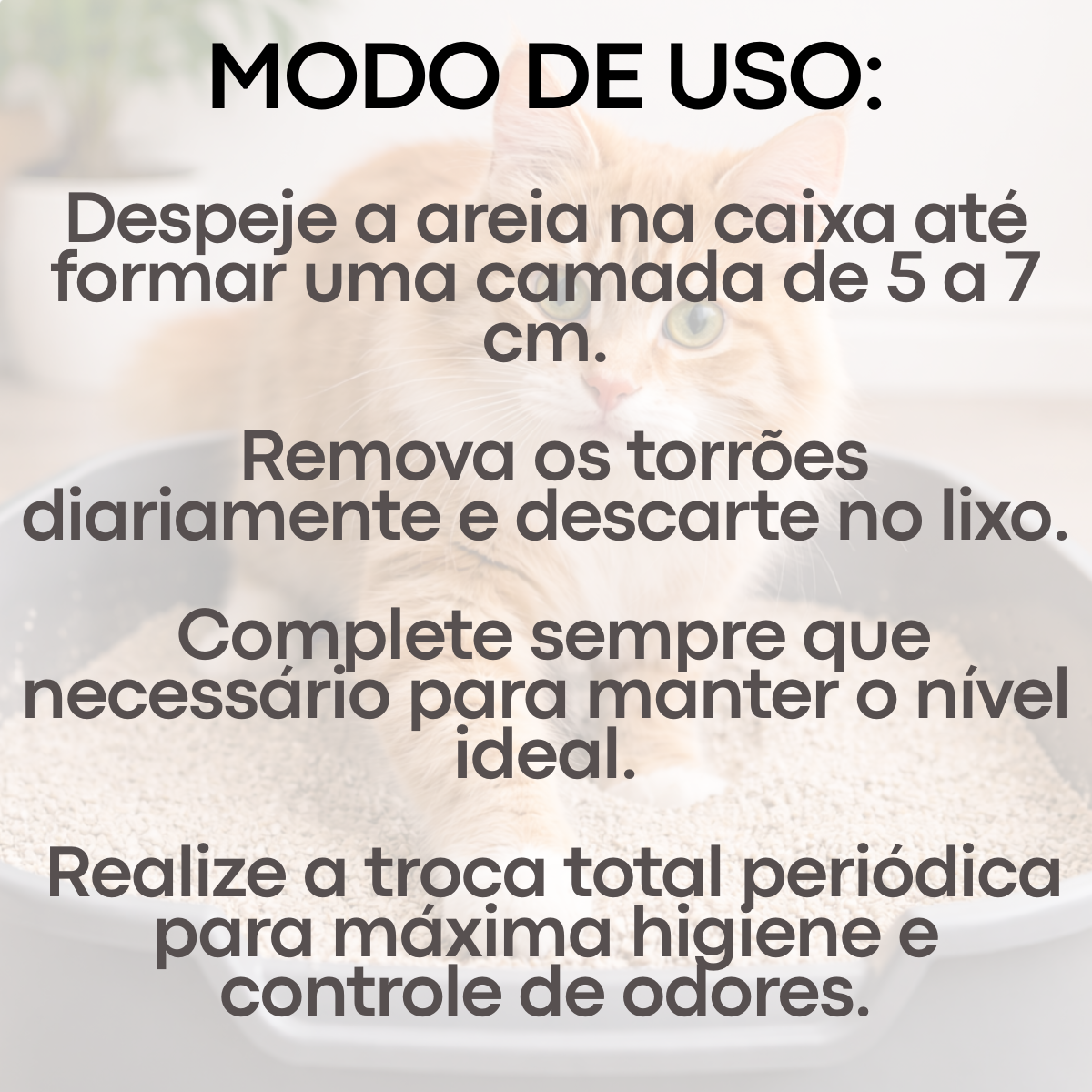 Areia Higiênica SandLiz - Imagem 9