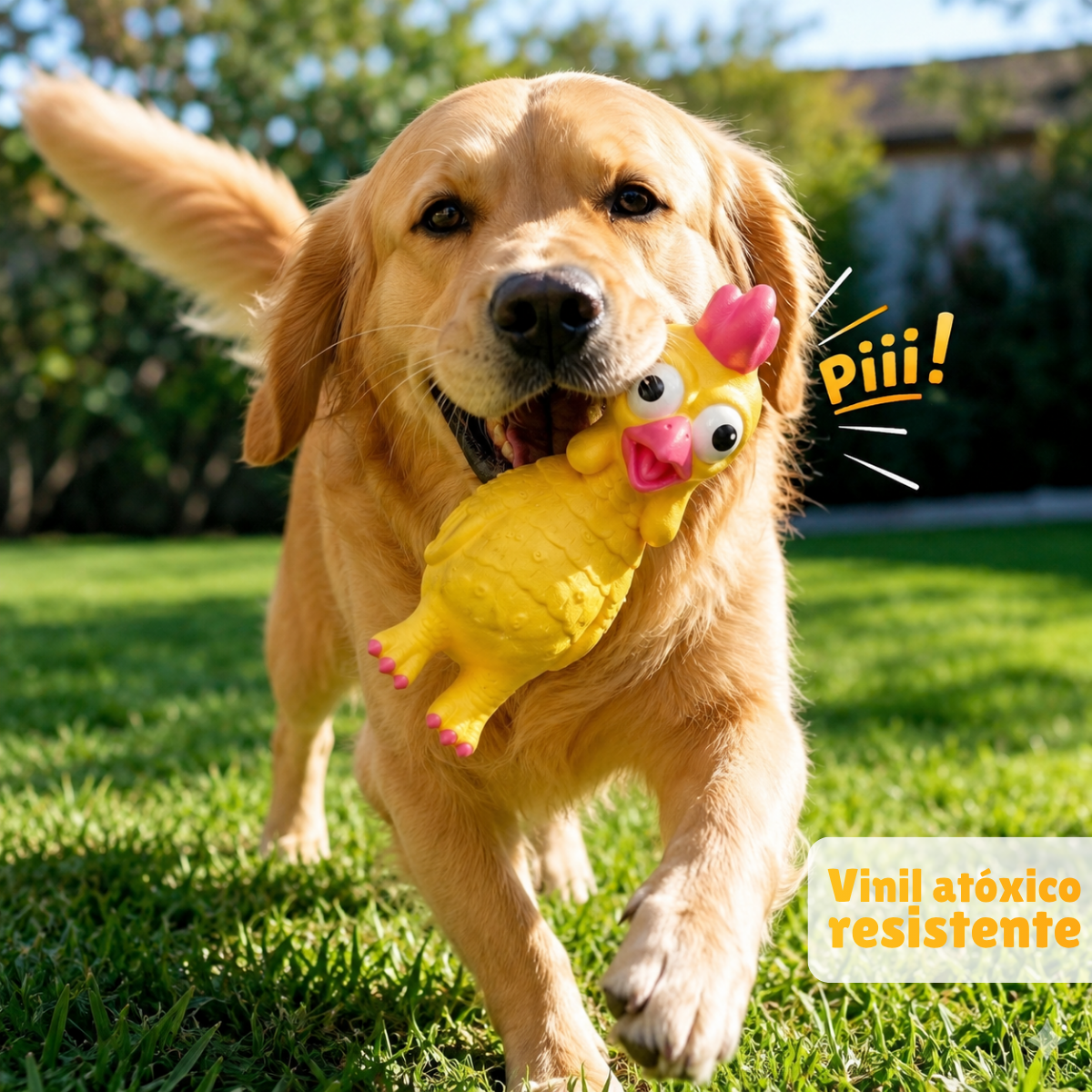 Galo Rey Gritador Petliz – Brinquedo para Cães - Imagem 3