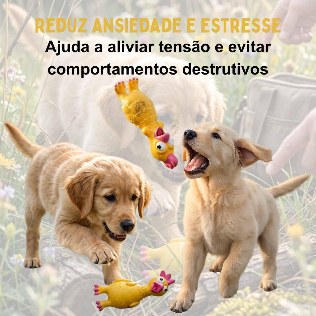 Galo Rey Gritador Petliz – Brinquedo para Cães - Imagem 6