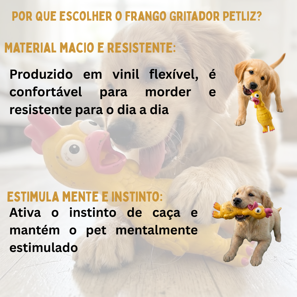 Galo Rey Gritador Petliz – Brinquedo para Cães - Imagem 8