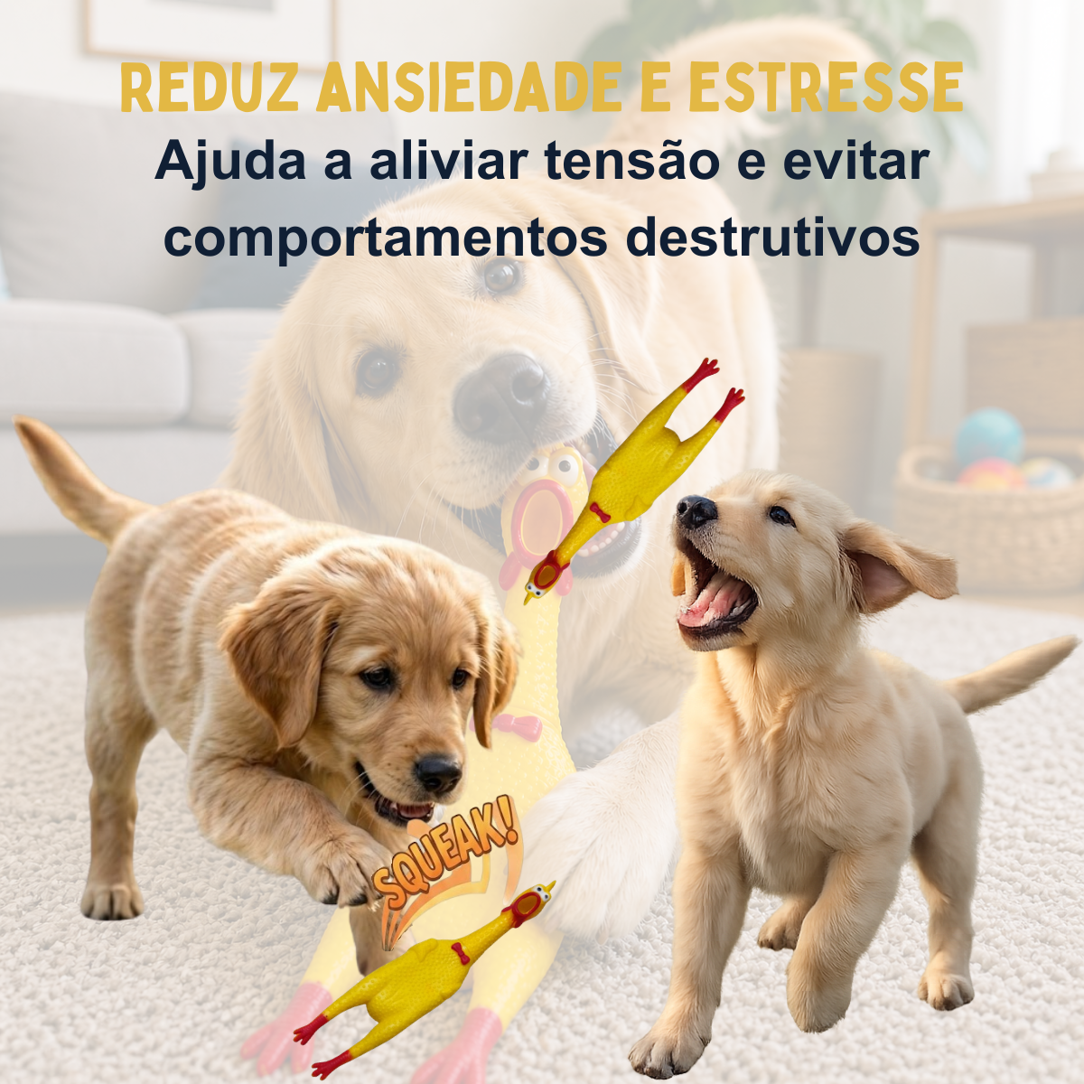 Kit Frango Roco / Frango Gritador Petliz - Imagem 5