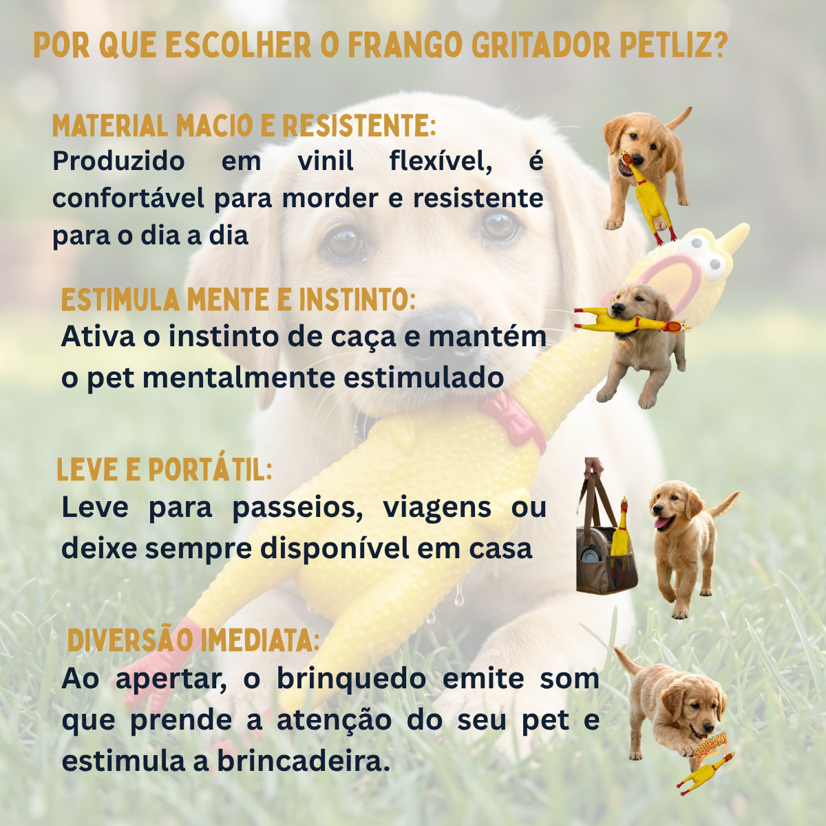 Kit Frango Roco / Frango Gritador Petliz - Imagem 6