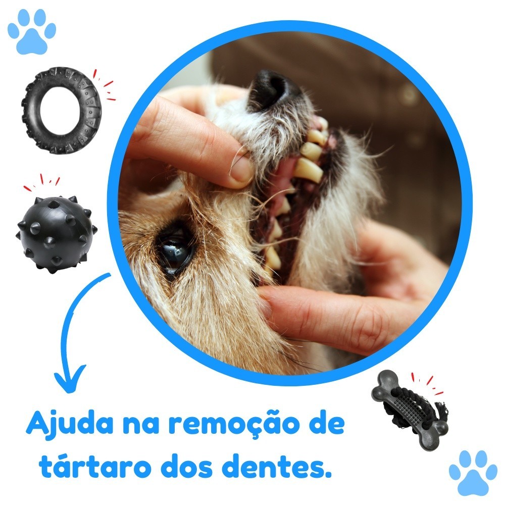 Kit Bola Cravo, Pneu e Osso Massageador - Imagem 7