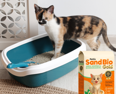 Areia mandioca SandBio 4KG (6)
