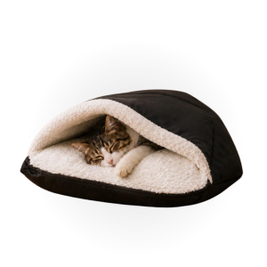 Capa site petliz (10)